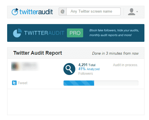 twt_audit2