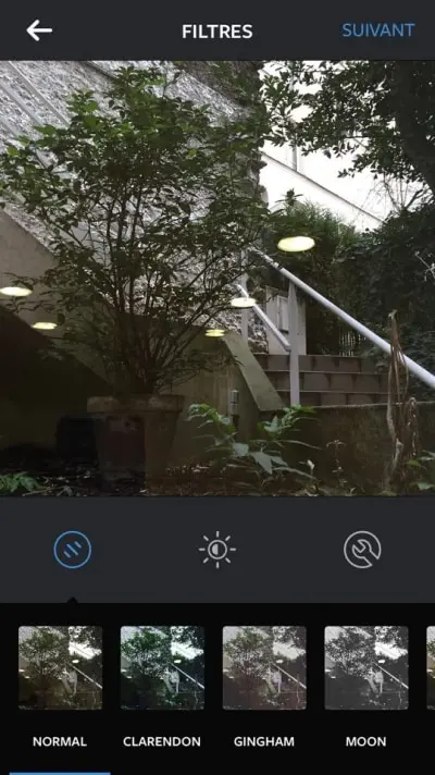 12463593_10153842161808844_1663777668_n