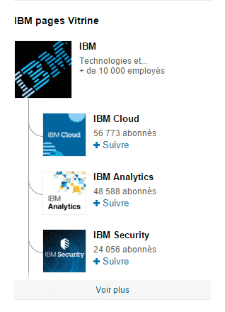 IBM2
