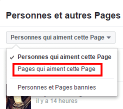 pages