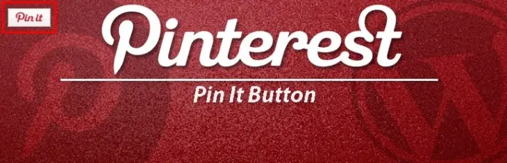 pin