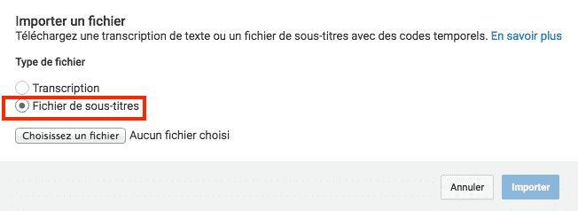 Importer Fichier Sous Titres Youtube