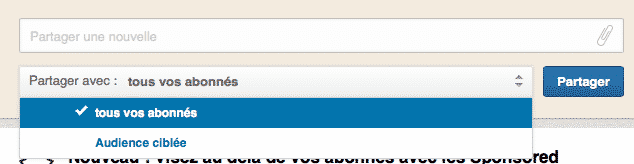 LinkedIn Page Entreprise cibler son audience