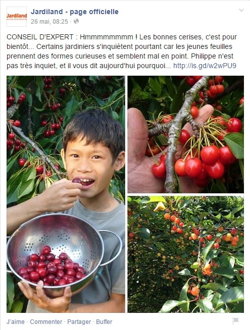 jardiland