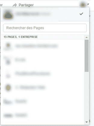 pages3