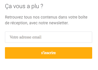 Newsletter Blog