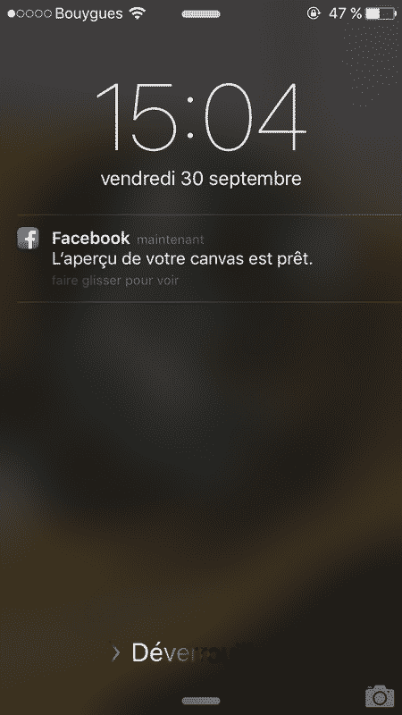 canva6